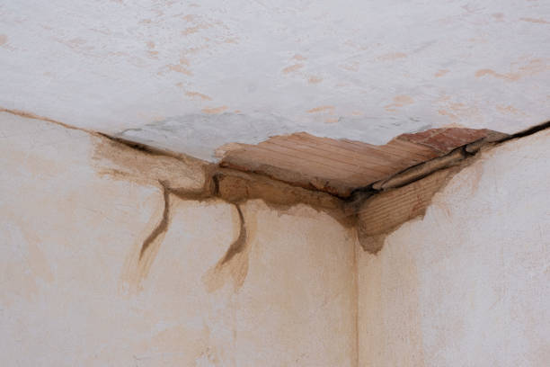 Best Flood damage cleanup  in Selma, AL