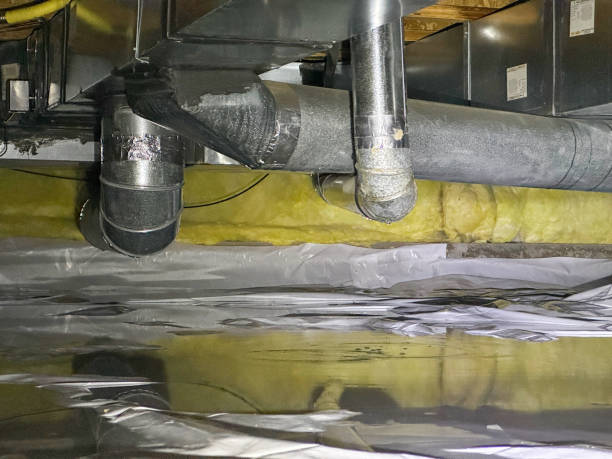 Best Water damage repair service  in Selma, AL