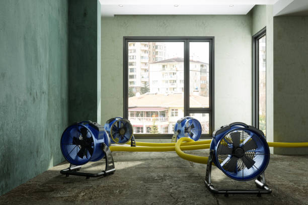 Best 24/7 water damage repair  in Selma, AL